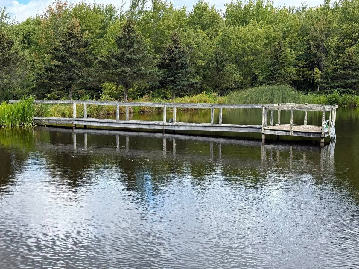 Dock Remodel - Before